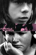 Juvenile Liaison Box Art