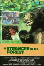 A Stranger in My Forest Box Art