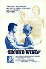 Second Wind Box Art