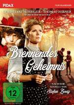 Brennendes Geheimnis Box Art