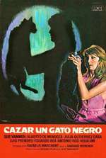 Cazar un gato negro Box Art