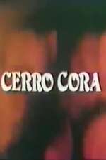 Cerro Cora Box Art