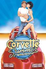 Corvette Summer Box Art