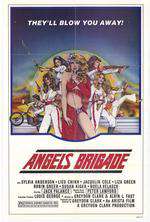 Angels' Brigade Box Art