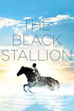 The Black Stallion Box Art