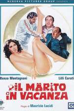 Il marito in vacanza Box Art