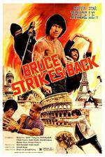 Bruce Strikes Back Box Art