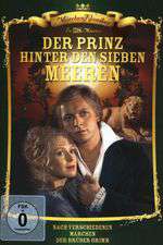 Der Prinz hinter den sieben Meeren Box Art