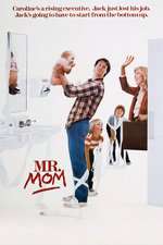 Mr. Mom Box Art