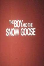 The Boy and the Snow Goose Box Art