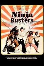 Ninja Busters Box Art