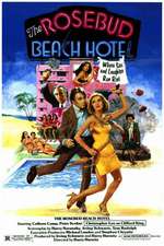 The Rosebud Beach Hotel Box Art