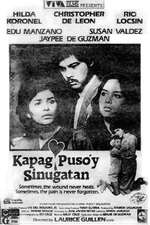 Kapag Puso'y Sinugatan Box Art