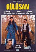 Gülüşan Box Art