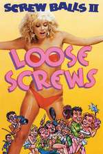 Loose Screws Box Art