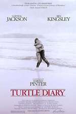 Turtle Diary Box Art