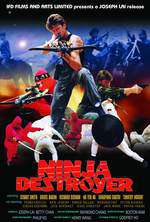 Ninja Destroyer Box Art