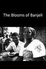 The Blooms Of Banjeli Box Art