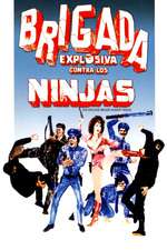 Brigada Explosiva contra los ninjas Box Art