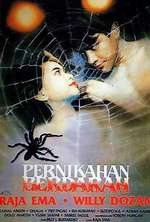 Pernikahan berdarah Box Art