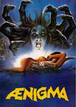 Ænigma Box Art