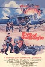 Eye of the Eagle Box Art