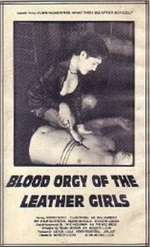 Blood Orgy of the Leather Girls Box Art