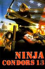 Ninjas, Condors 13 Box Art