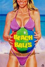 Beach Balls Box Art