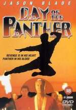 Day of the Panther Box Art