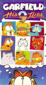 Garfield: His 9 Lives Box Art