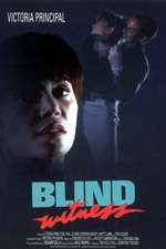 Blind Witness Box Art