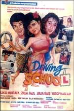 Driving School Box Art