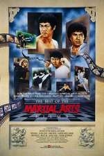 The Best of Martial Arts Films Box Art