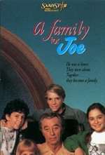 A Family For Joe Box Art