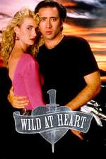 Wild at Heart Box Art