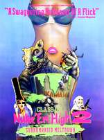 Class of Nuke 'Em High 2: Subhumanoid Meltdown Box Art