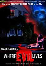 Where Evil Lives Box Art