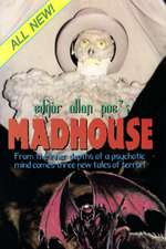 Edgar Allan Poe's Madhouse Box Art