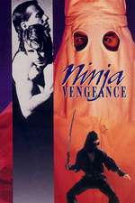 Ninja Vengeance Box Art