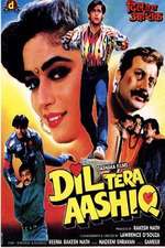 Dil Tera Aashiq Box Art