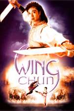 Wing Chun Box Art