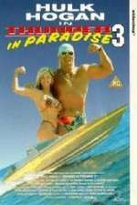 Thunder in Paradise 3 Box Art