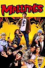 Mallrats Box Art