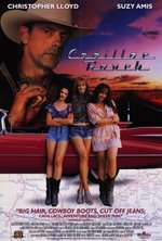 Cadillac Ranch Box Art