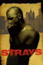 Strays Box Art