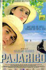 Pajarico Box Art