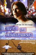 David im Wunderland Box Art