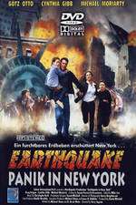 Earthquake in New York Box Art