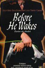 Before He Wakes Box Art